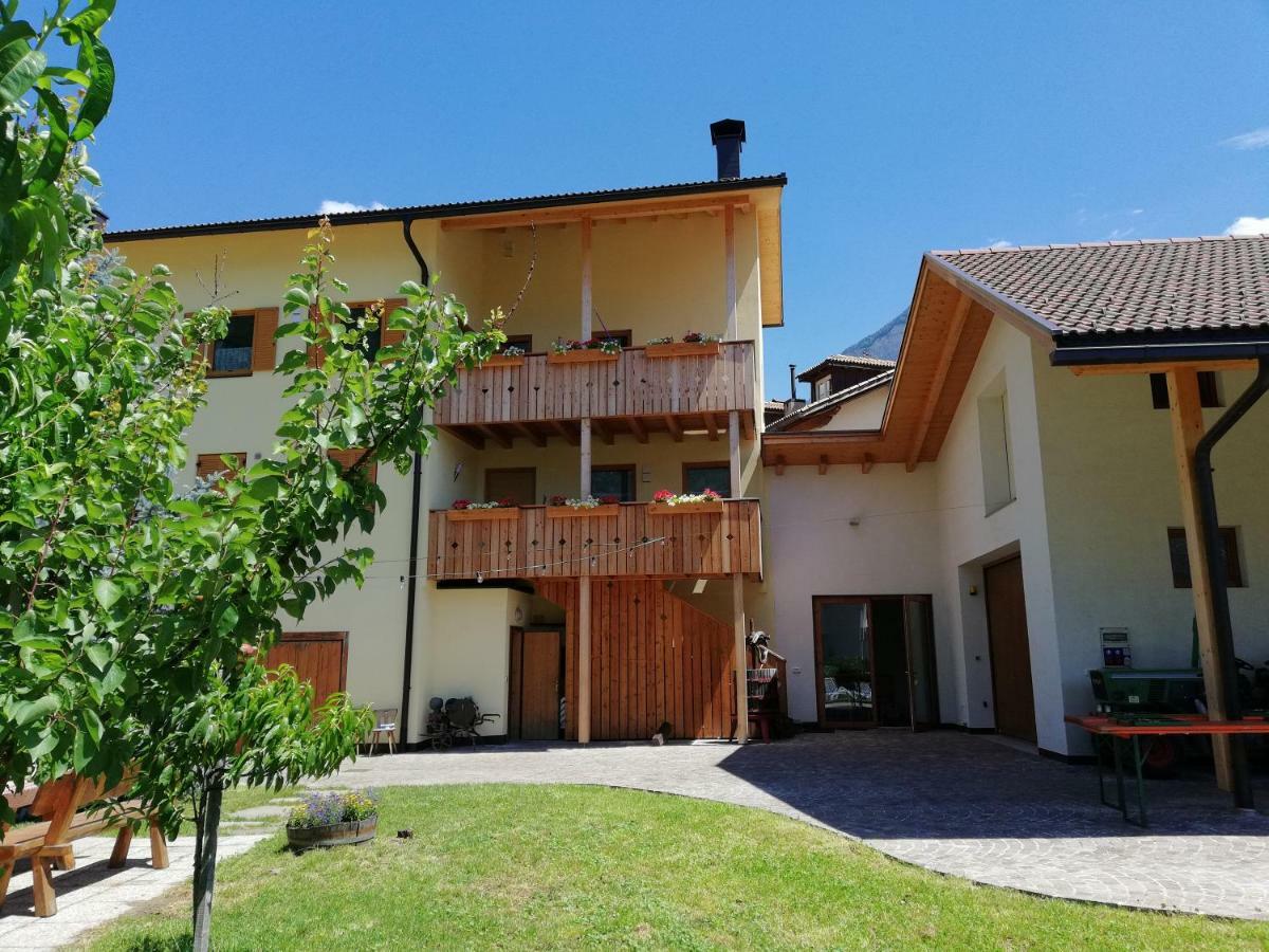 Apartamento Ferienhof Weingenuss Cortina Sulla Strada del Vino Exterior foto