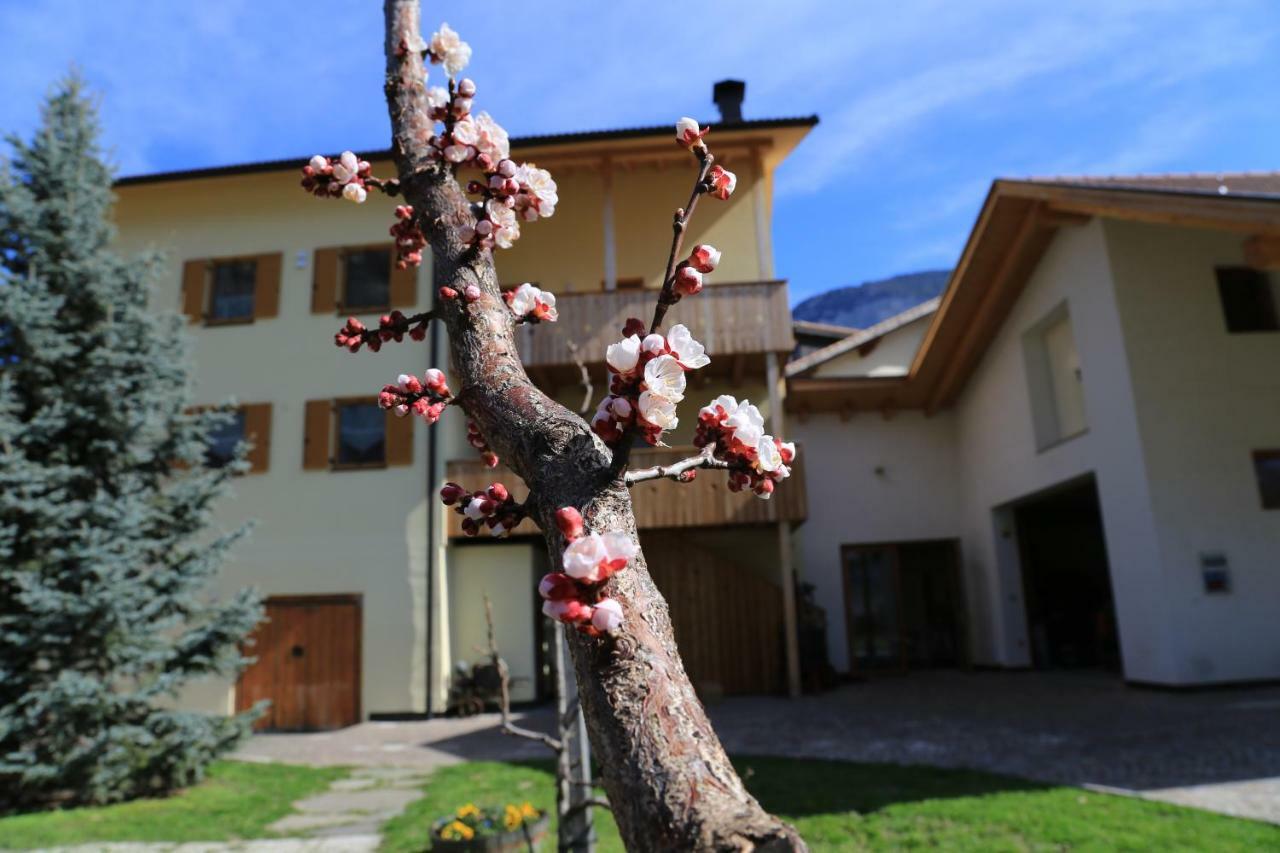 Apartamento Ferienhof Weingenuss Cortina Sulla Strada del Vino Exterior foto